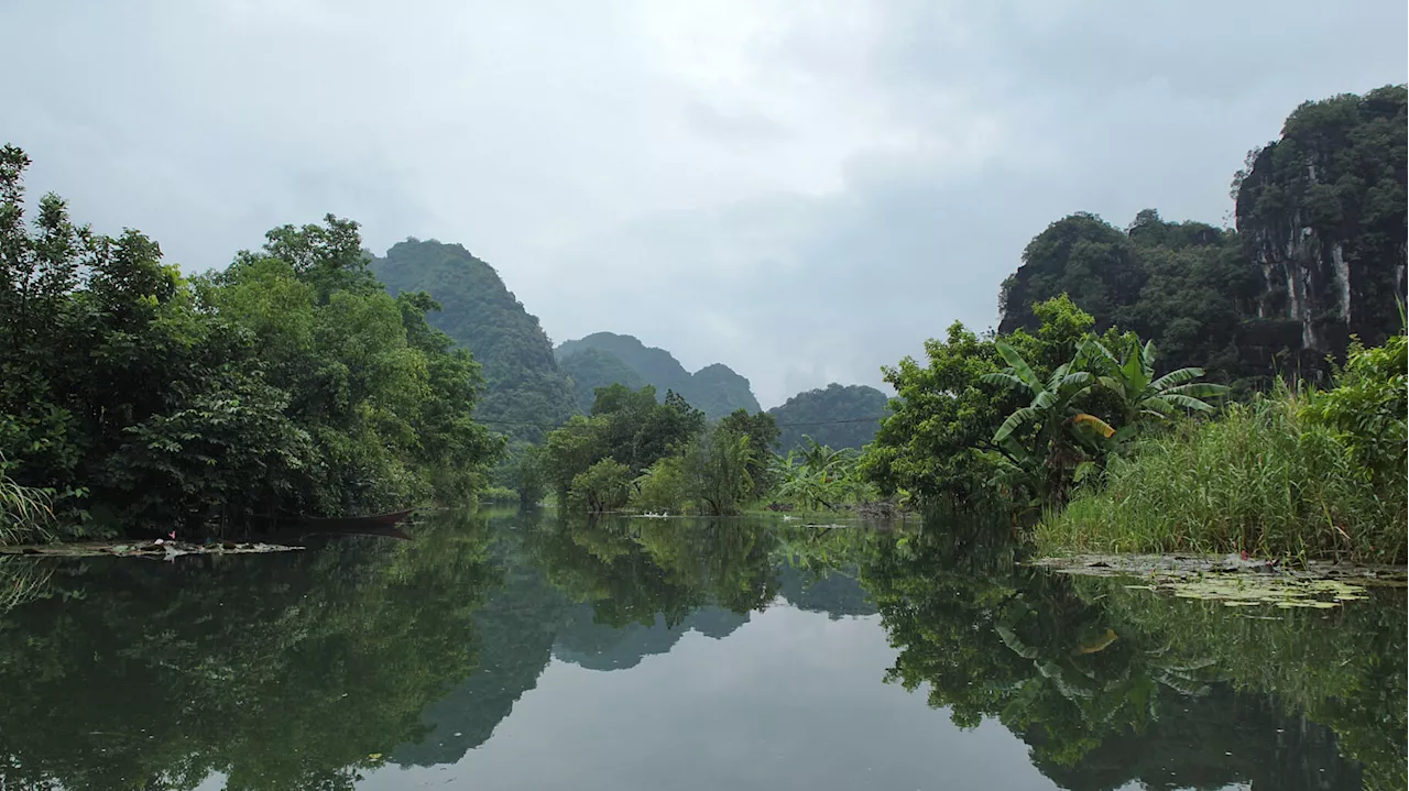 Au Vietnam, un garçon de 6 ans survit après 5 jours perdu en forêt