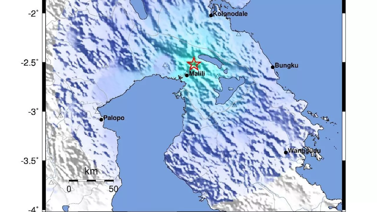 Gempa M4,8 Guncang Luwu Timur Sulsel, Gempa Dangkal yang Dipicu Sesar Matano