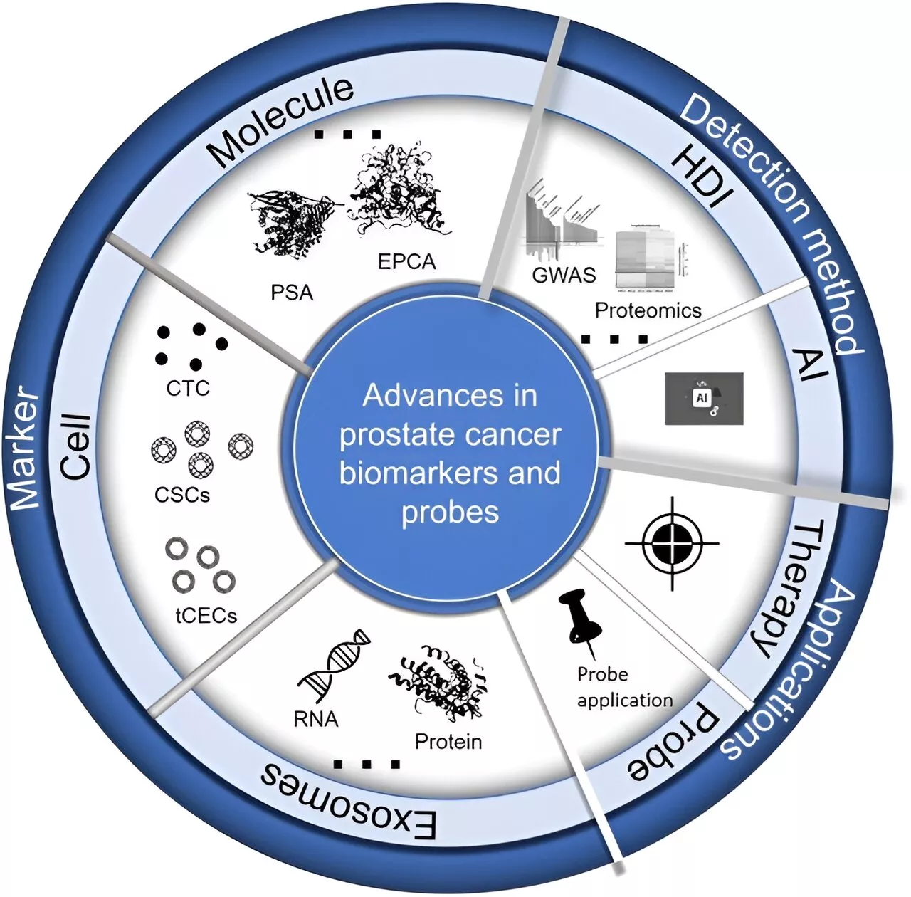New insights into biomarkers and probes for prostate cancer