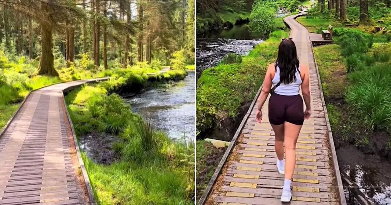 Visitors compare this 'picturesque' forest to Canada or Alaska — but it's in the UK and completely free