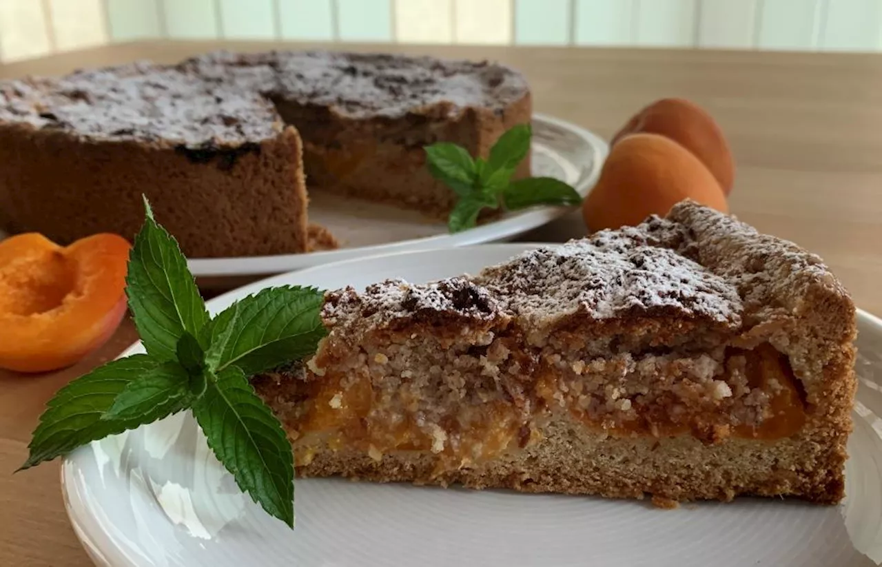 Sonnige Grüße vom Aprikosenbaum: Ein Kuchen, der den Sommer einfängt