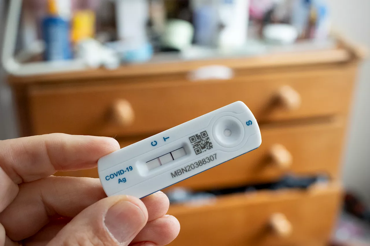 COVID symptoms, guidelines: What to know as new tests, vaccine updates roll out