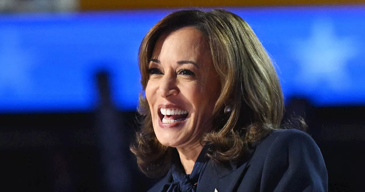 Five key takeaways from the Democratic convention as Kamala Harris accepts nomination