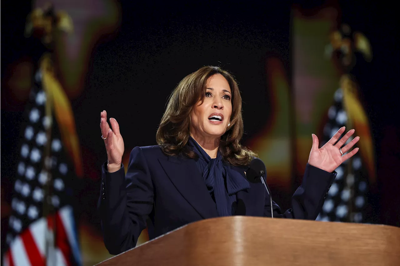 DNC Erupts Over Kamala Harris Israel-Gaza Remarks