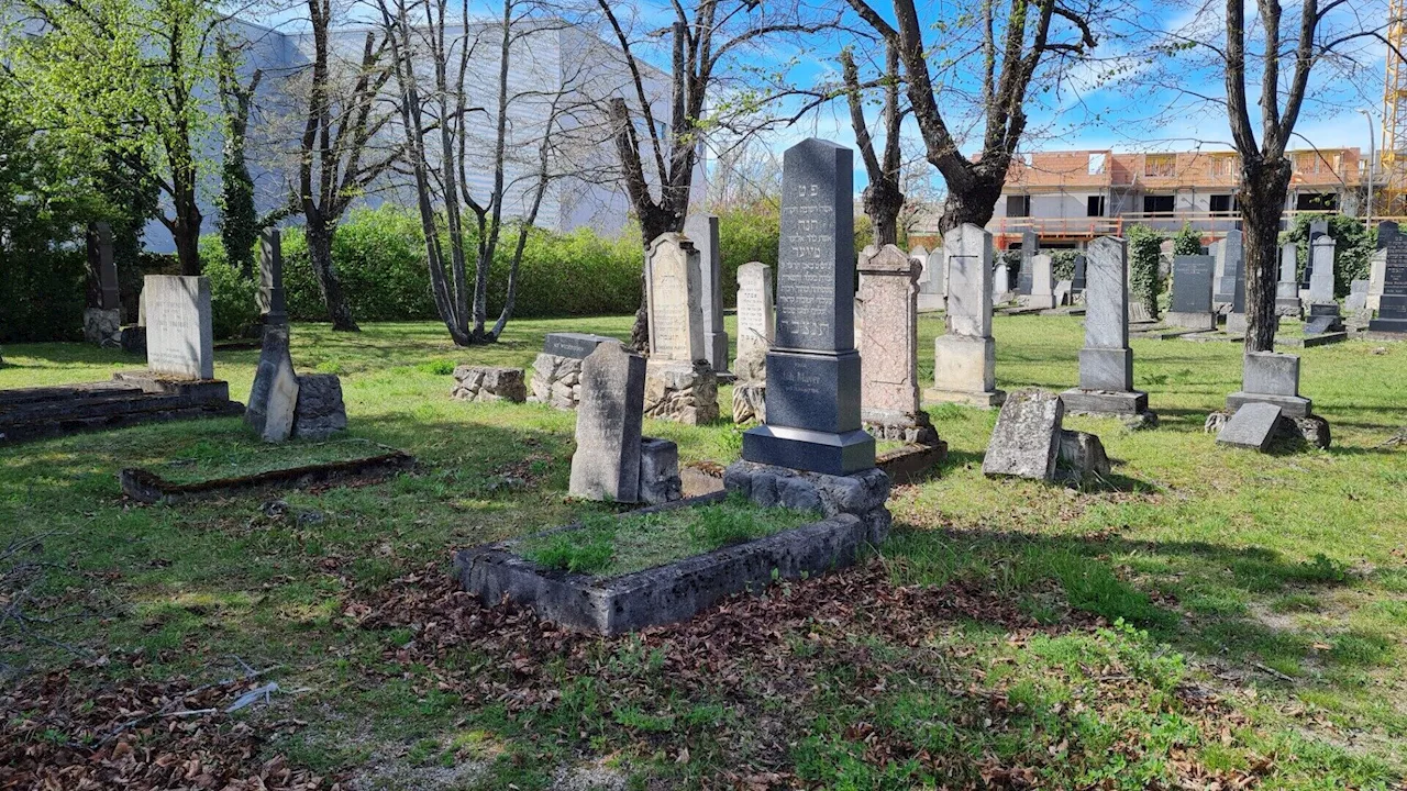 Arbeit gegen das Vergessen am Jüdischen Friedhof Wiener Neustadt