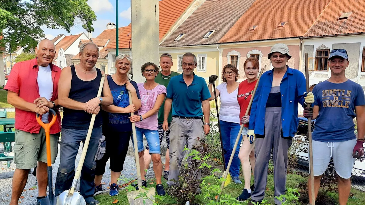 Drosendorf: Neues Grün für den Hauptplatz