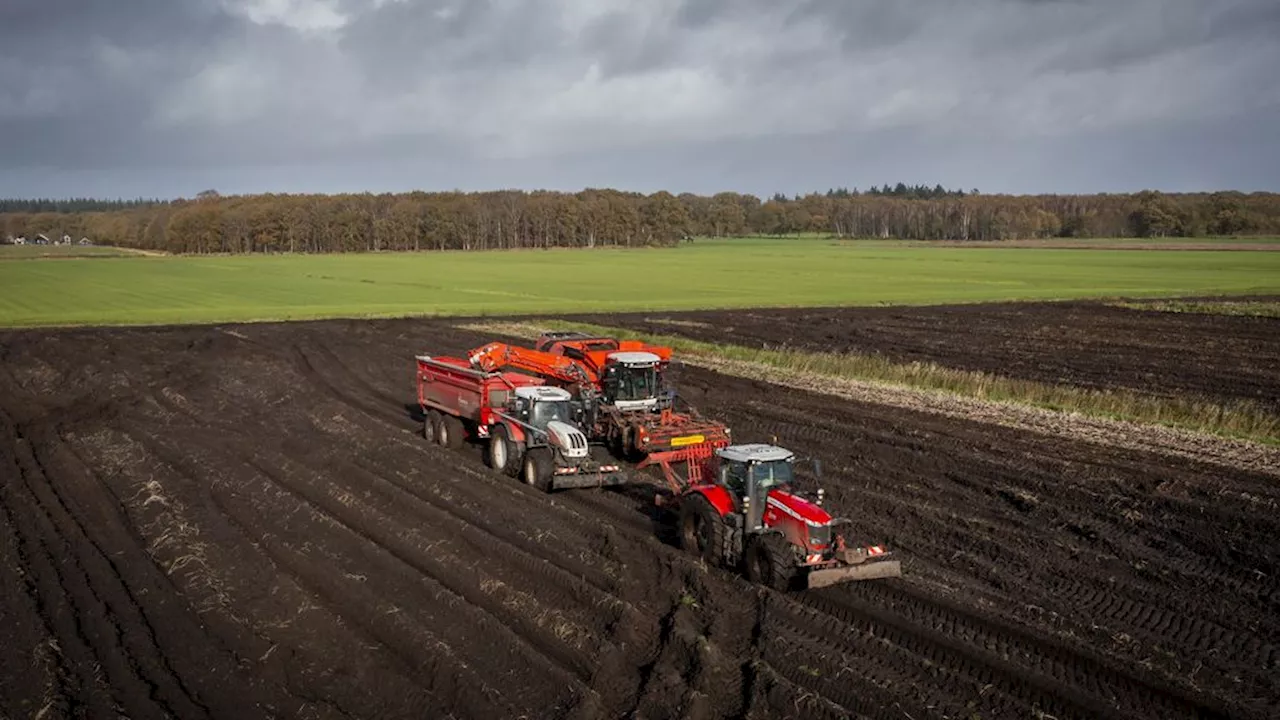 Nederland produceert opnieuw minder voedsel, maar 'vooral met caloriezekerheid zit het wel goed'