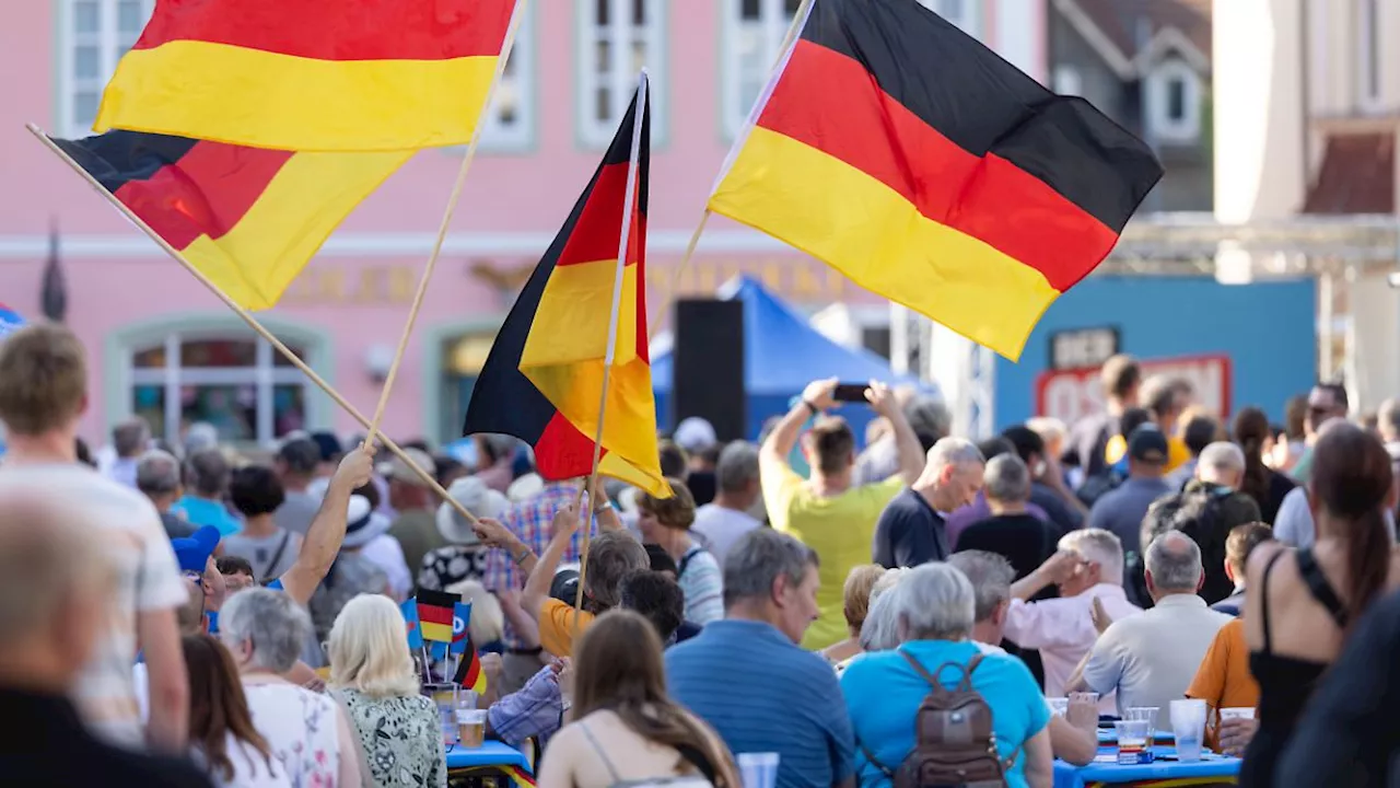 'Starker Führer' gewünscht: Umfrage: Jeder dritte AfD-Wähler rechtfertigt Gewalt gegen Politiker