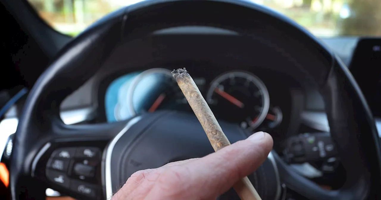 Cannabis-Legalisieurng: Neue Regeln für Autofahrer in Kraft getreten