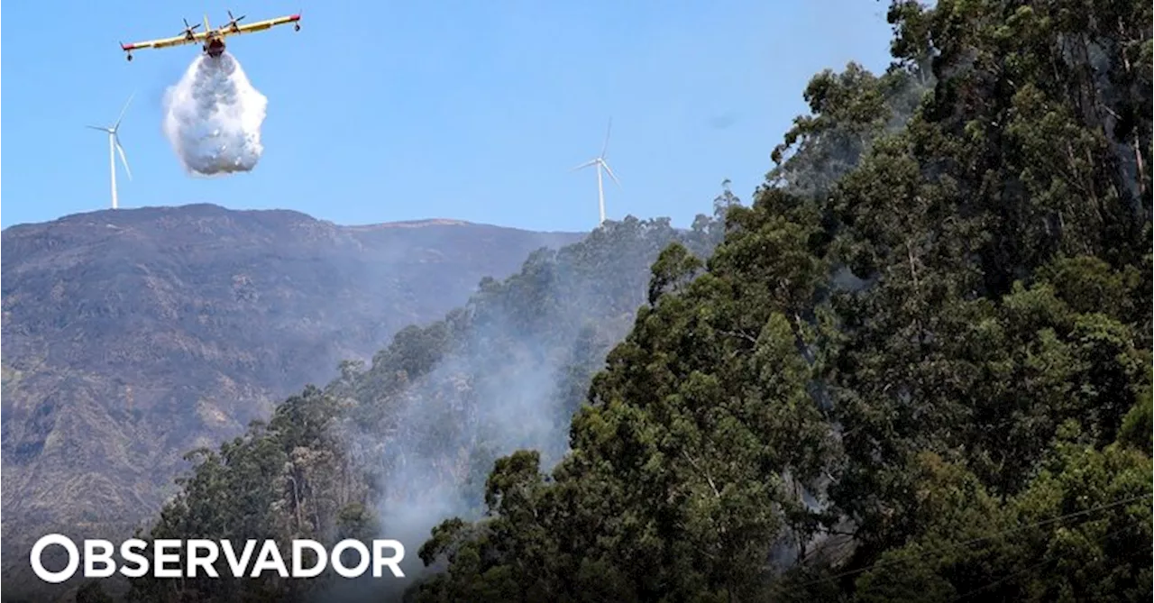 Madeira: helicóptero opera desde o primeiro dia e já efetuou 327 descargas, segundo a Proteção Civil