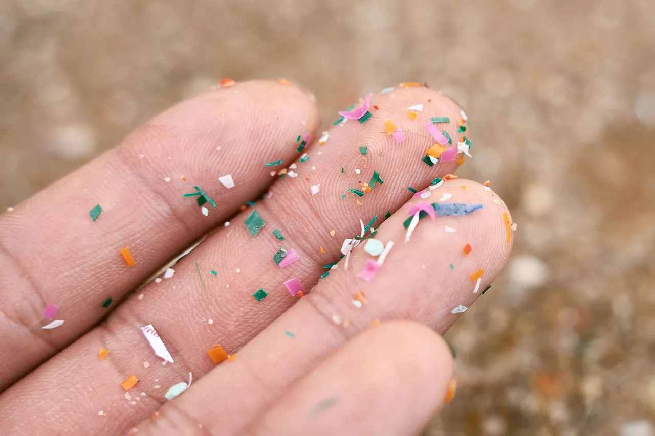 New Study Finds A 'Scary' Amount of Microplastics in Brain Tissue: 'Pretty Alarming'
