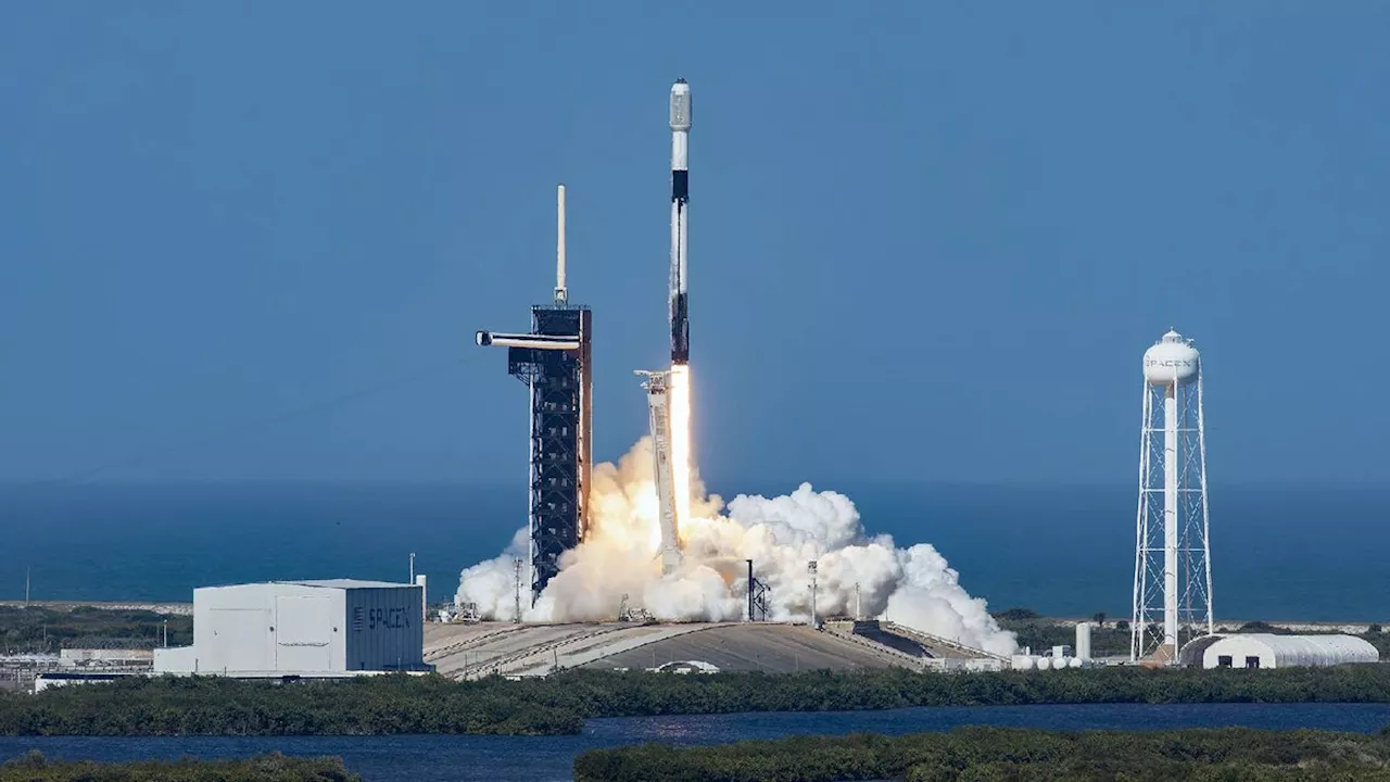 FCC effectively kills off T-Mobile and SpaceX's satellite ambitions (for now)