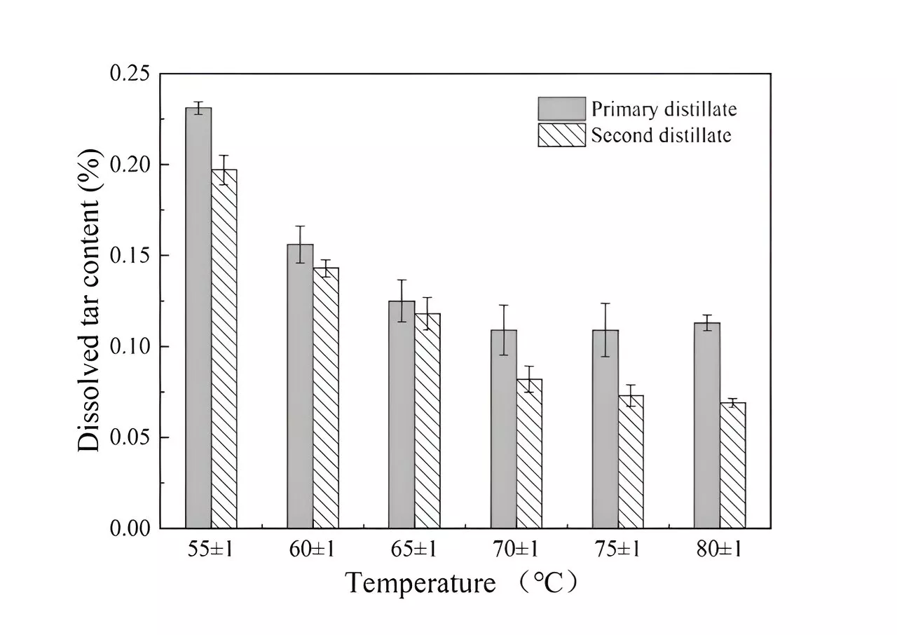 Exploring bamboo charcoal's slow-release properties for enhanced anti-acne formulations containing bamboo vinegar