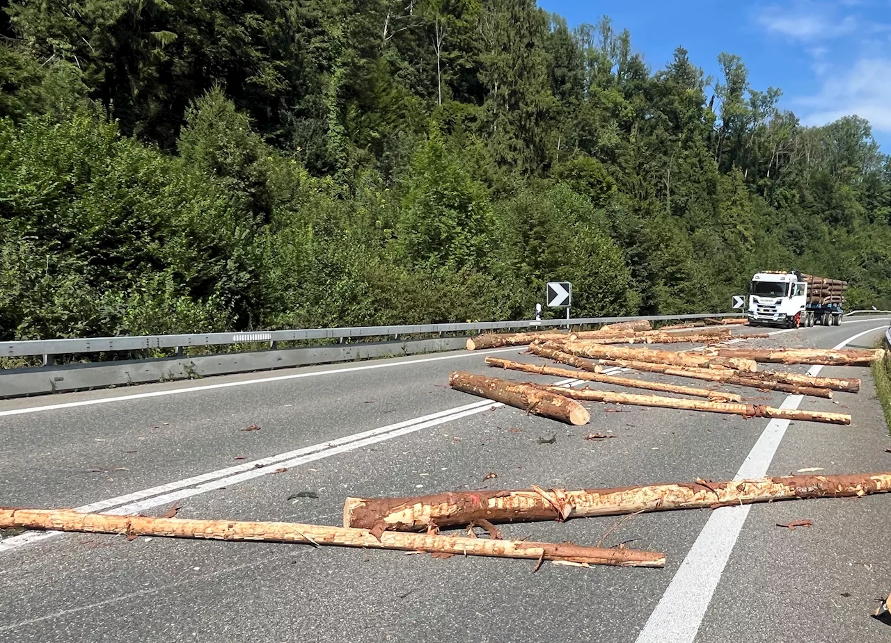 Malters LU / Autostrasse K10: Anhänger verliert bei Selbstunfall Holzladung