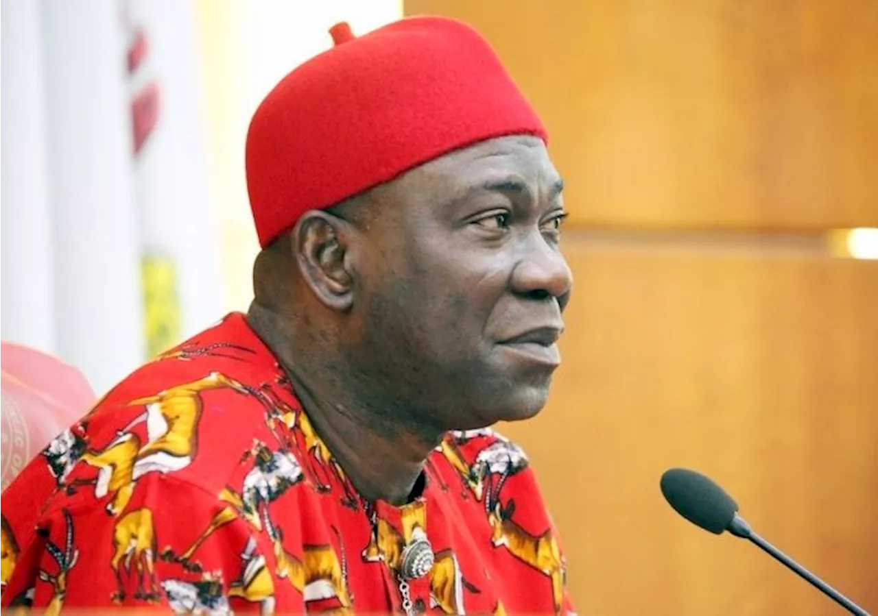 “How the Igbo interpreter hired by the Ekweremadu family turned on them”