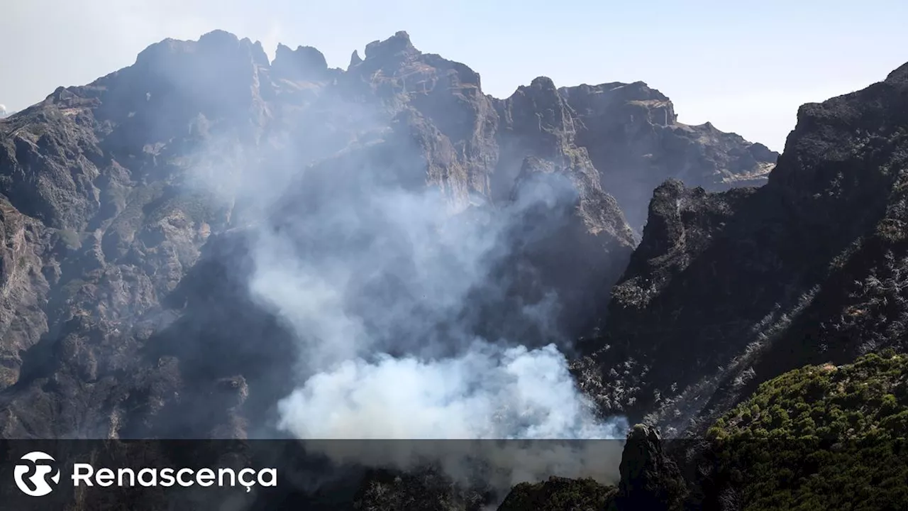 Madeira. Problema dos incêndios não se resolve com mais meios aéreos, admite AGIF