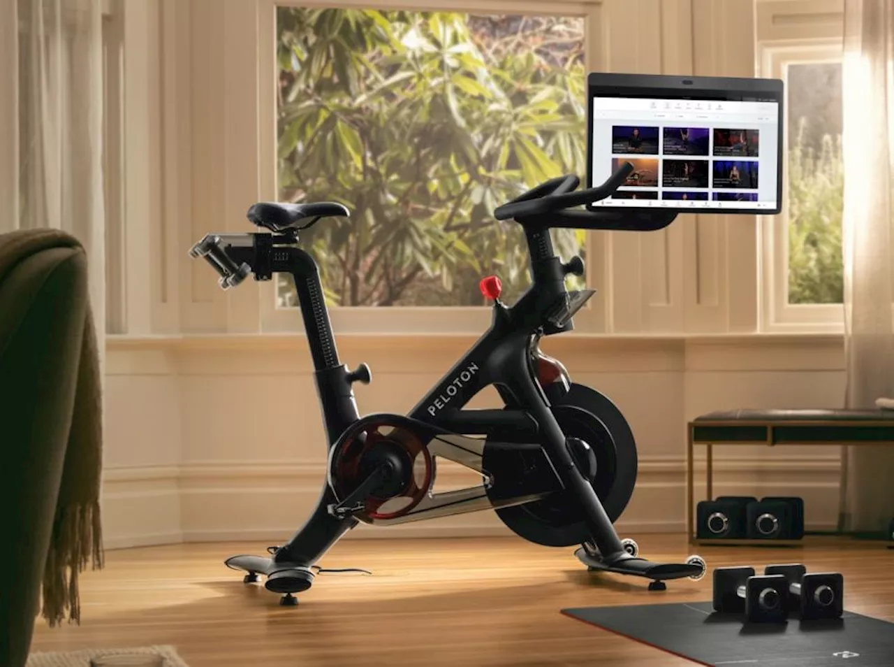 Peloton set to charge customers £70 for using second-hand bikes, as brand’s sales finally rise by 0.2%, prompting shares to surge months after large-scale redundancies and restructuring