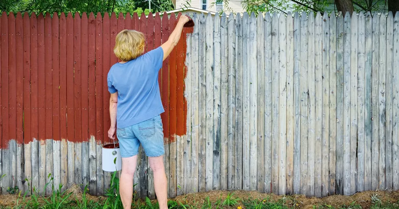 Top colour to paint your fence and make your garden ‘appear bigger’