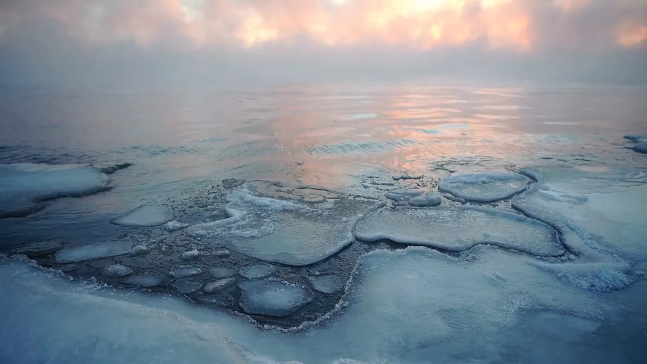 Rethinking the “Doomsday Glacier”: Scientists Challenge Alarming Antarctic Ice Collapse Predictions