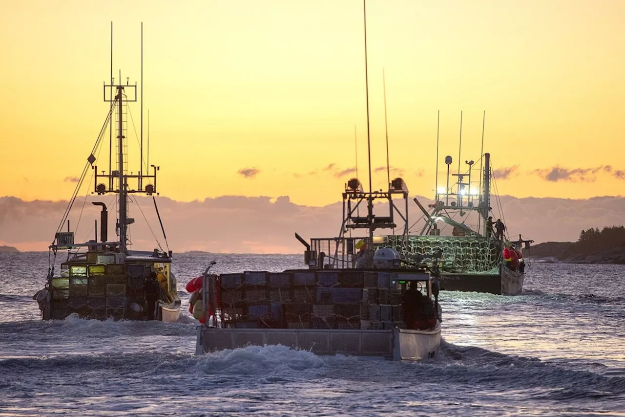 Nova Scotia group wants a court to declare a First Nation's lobster fishery illegal