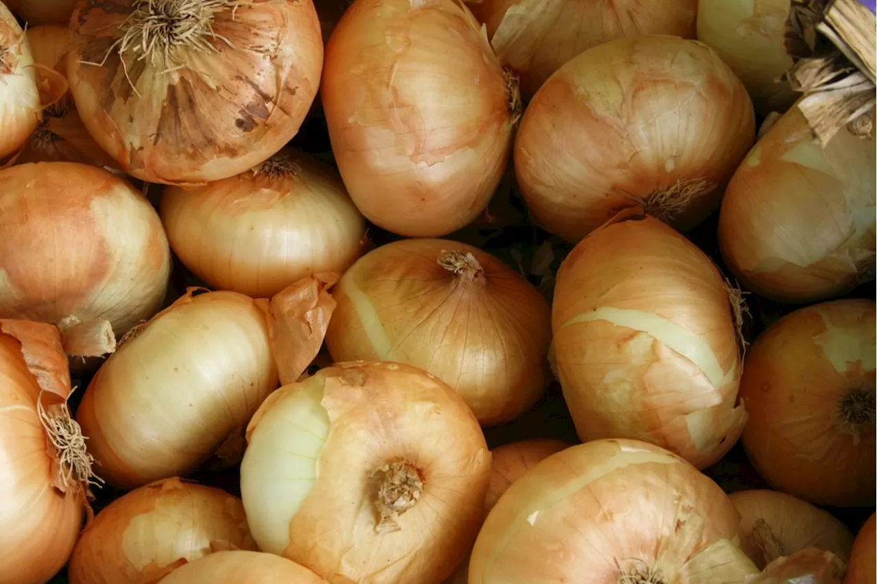 QuickCheck: Can onions help with insect bites and stings?