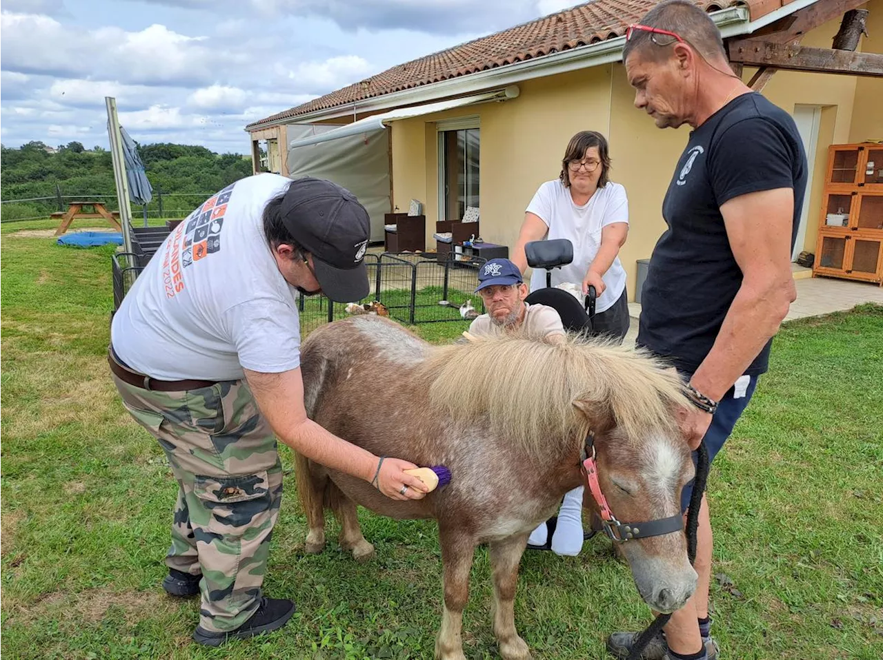 Bonnut : la médiation animale, « un moment hors du temps » pour les adultes handicapés