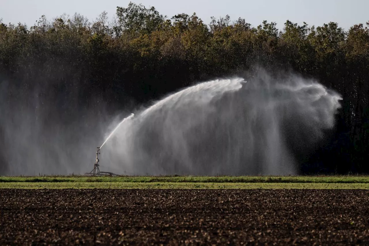 Irrigation en Charente-Maritime : 800 agriculteurs montent au créneau