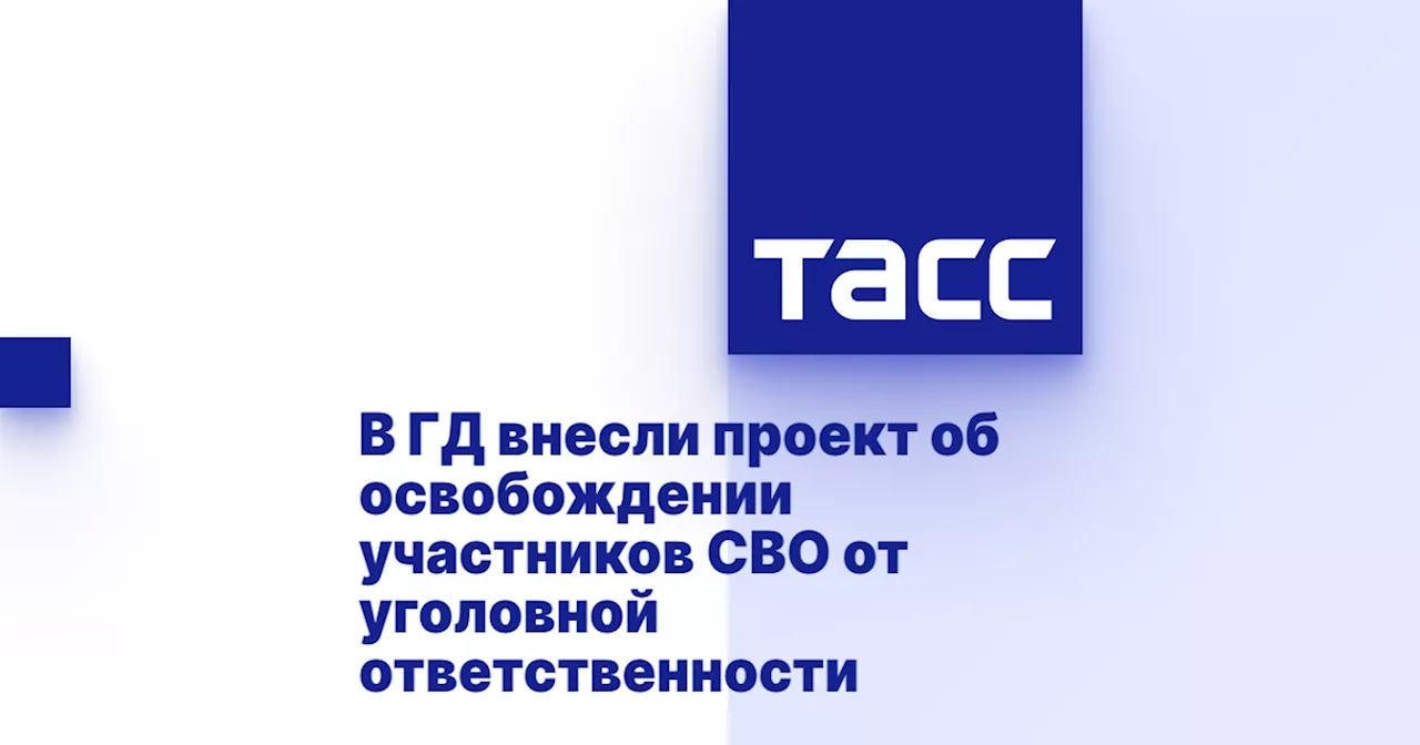 В ГД внесли проект об освобождении участников СВО от уголовной ответственности