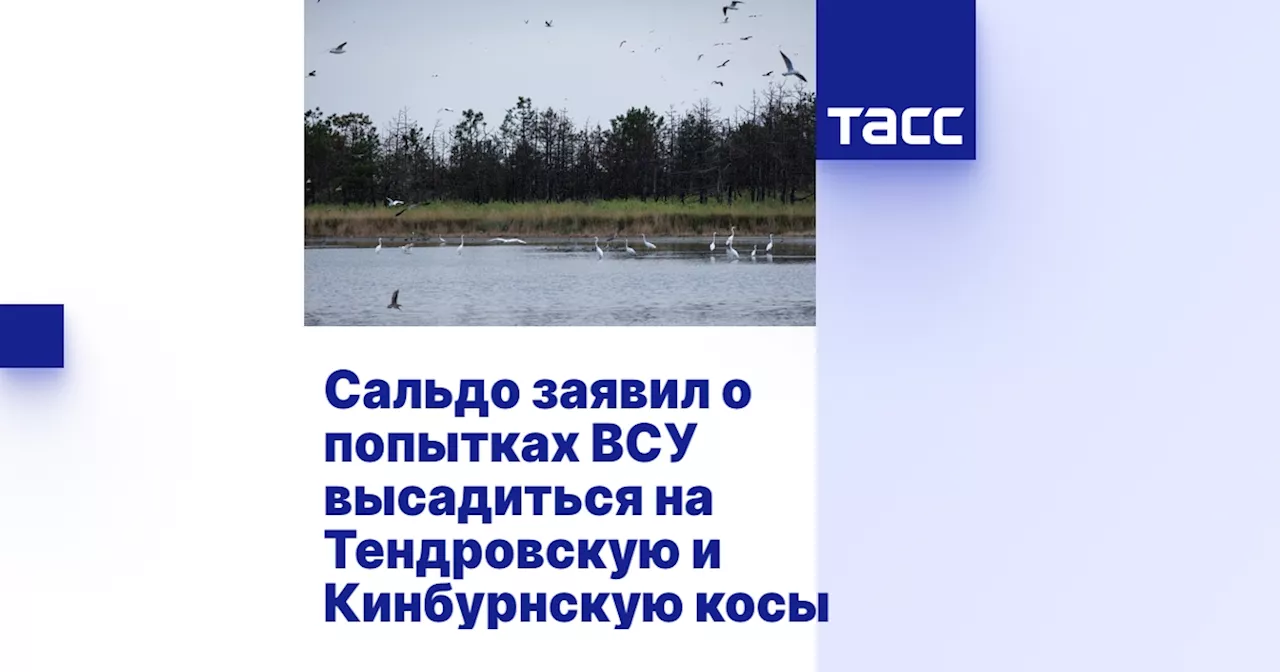 Сальдо заявил о попытках ВСУ высадиться на Тендровскую и Кинбурнскую косы