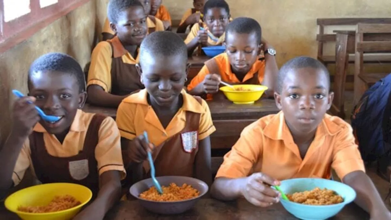 FG to relaunch school feeding programme, says Wale Edun