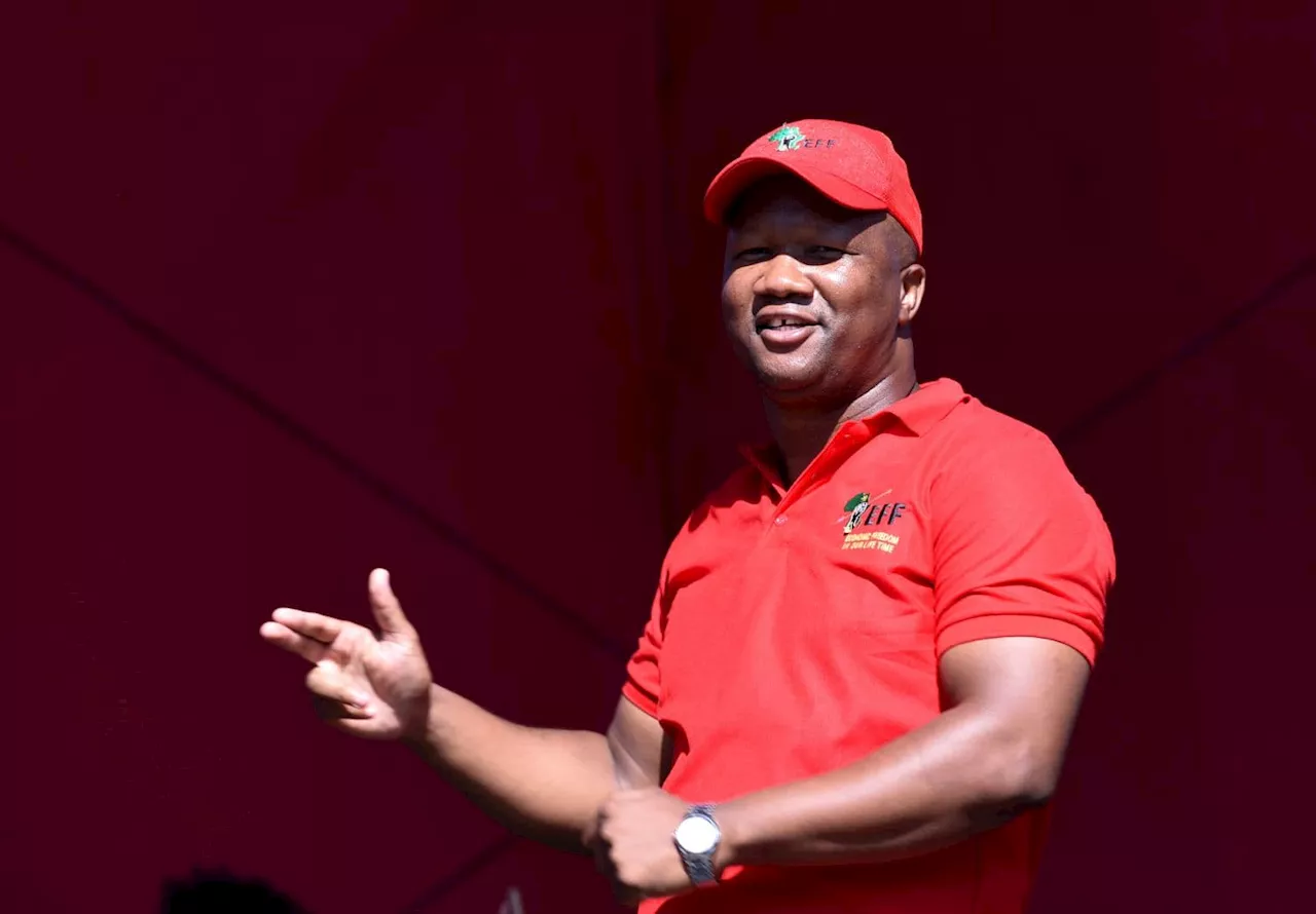 ‘No resignations since Floyd left’: EFF investigates support decline in KZN [VIDEO]