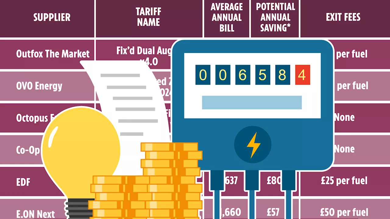 The fixed energy tariffs that are CHEAPER than the price cap and could save you money this winter...