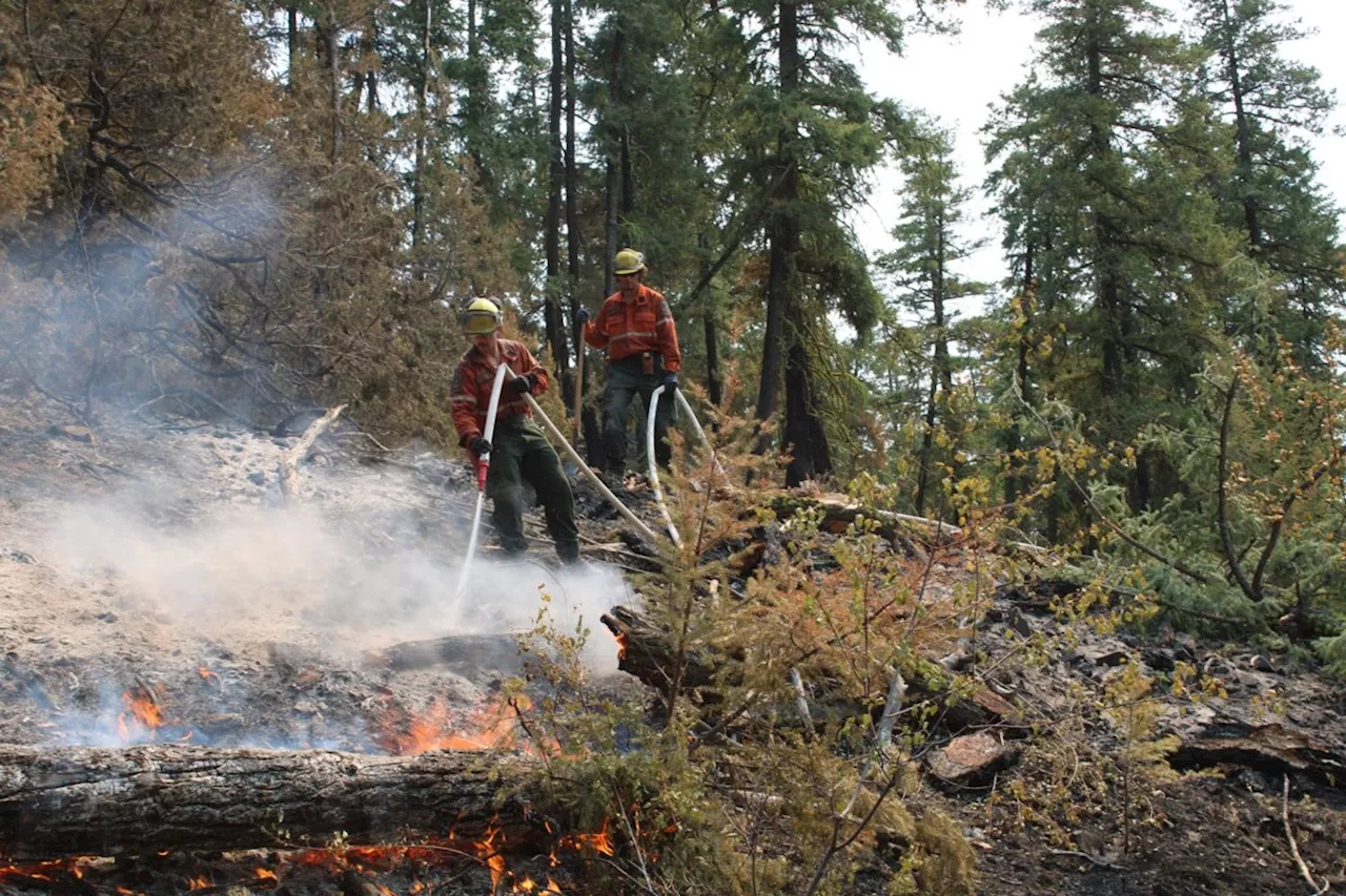 B.C. crews move to 'mop up' stage on many wildfires, drought persists in the north