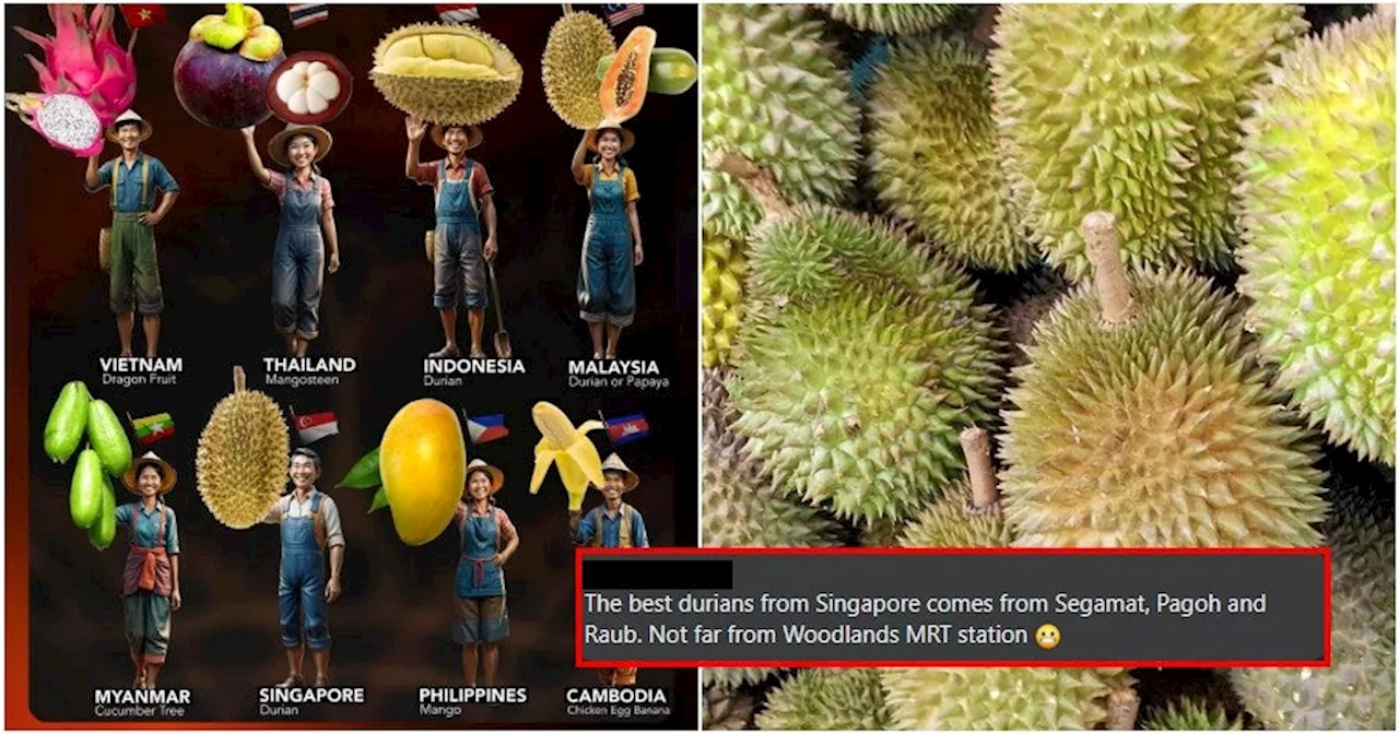 'Do they grow durian trees in their hearts?' Durian Recognised as Singapore's National Fruit, Netizens Baffled