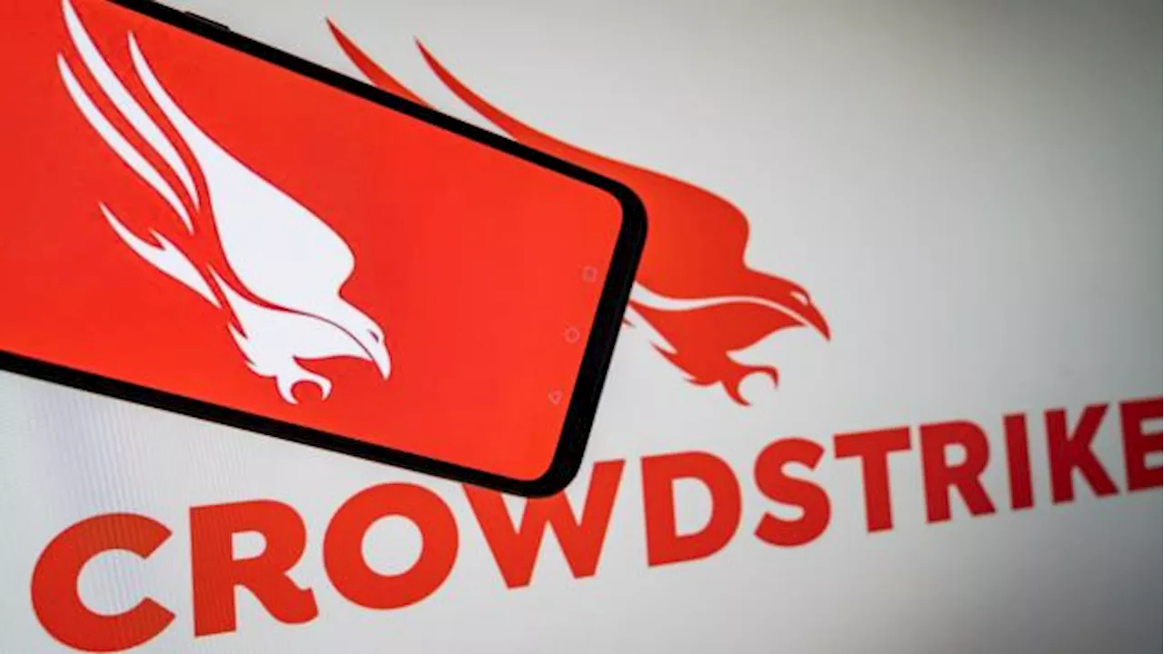 CrowdStrike vor den Earnings: Wie wirkt sich die Mega-Panne aus?