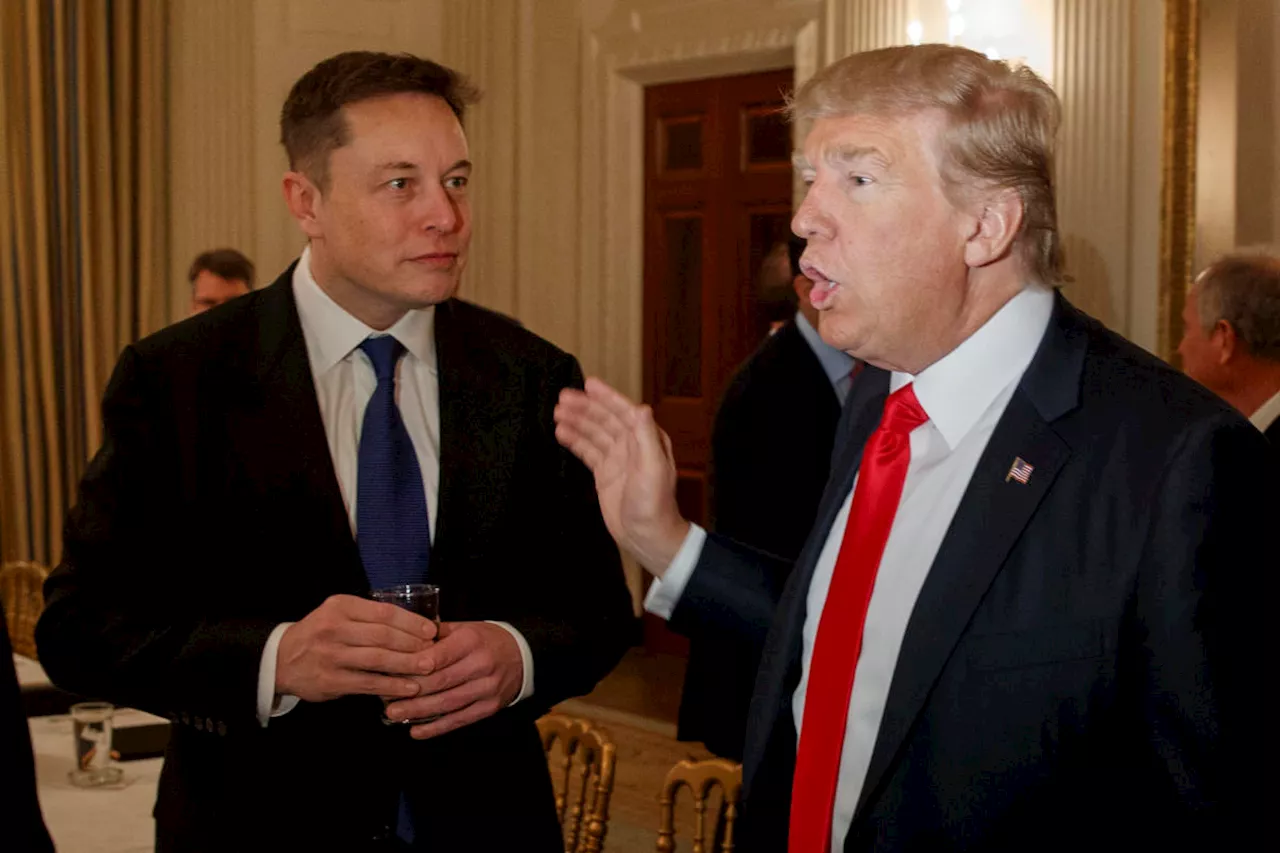 Elon Musk, Donald Trump and X: Why Tesla investors are in a quagmire