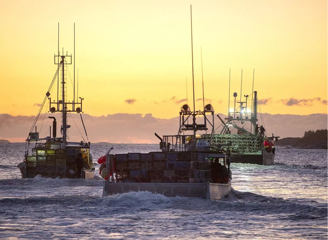 Nova Scotia group wants a court to declare a First Nation's lobster fishery illegal