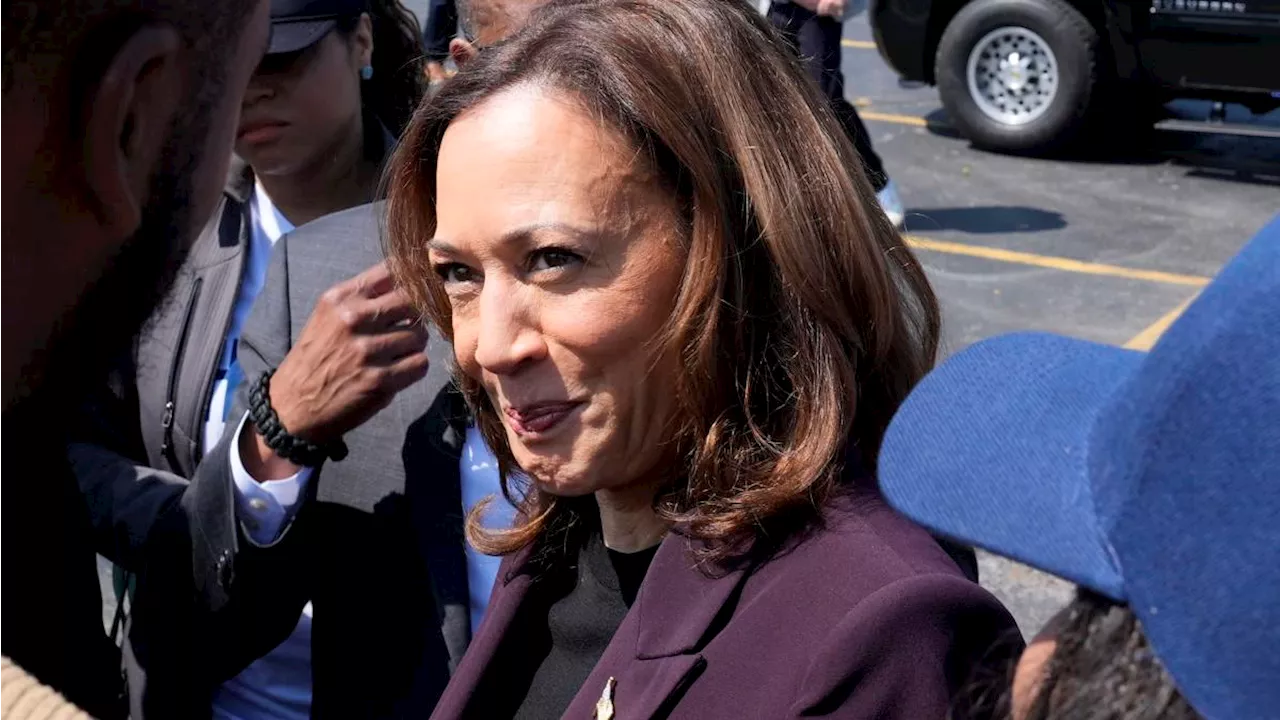 Why Harris's policies still feel ambiguous ahead of election