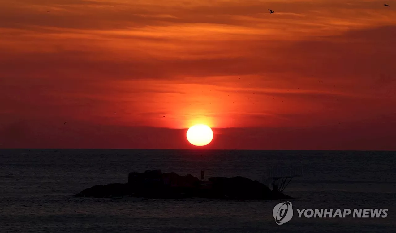 잠 못 이룬 '36일'…서울 올해 열대야일 역대 최다 기록