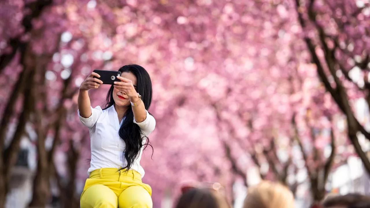 Umfrage: Mehrheit sucht Ausflugsziel für Selfies aus