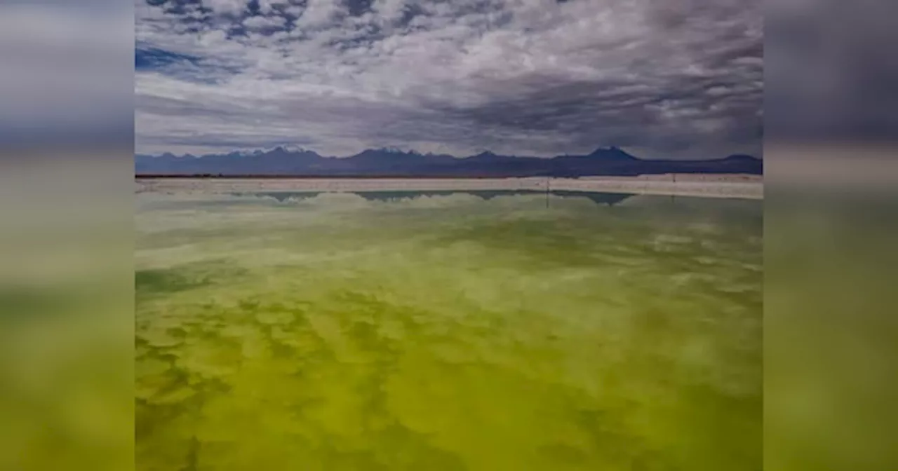 Atacama Salt Flat: हर साल 1 से 2 सेंटीमीटर डूब रहा है चिली का अटाकामा नमक क्षेत्र, सामने आई हैरान करने वाली वजह