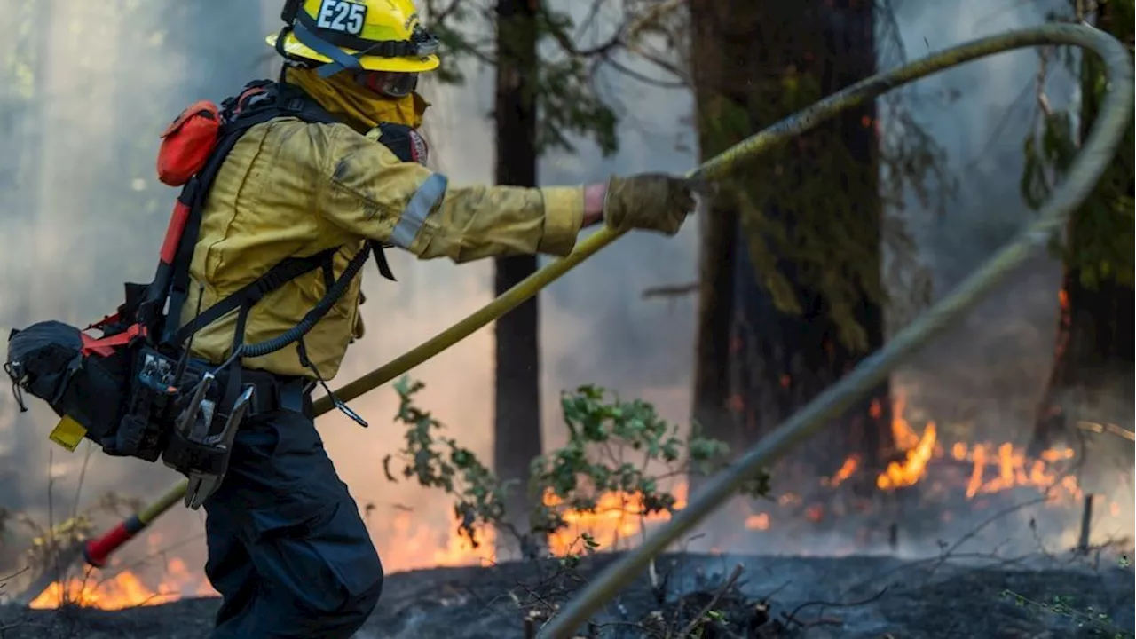 2 states become the first to ban PFAS from firefighter gear