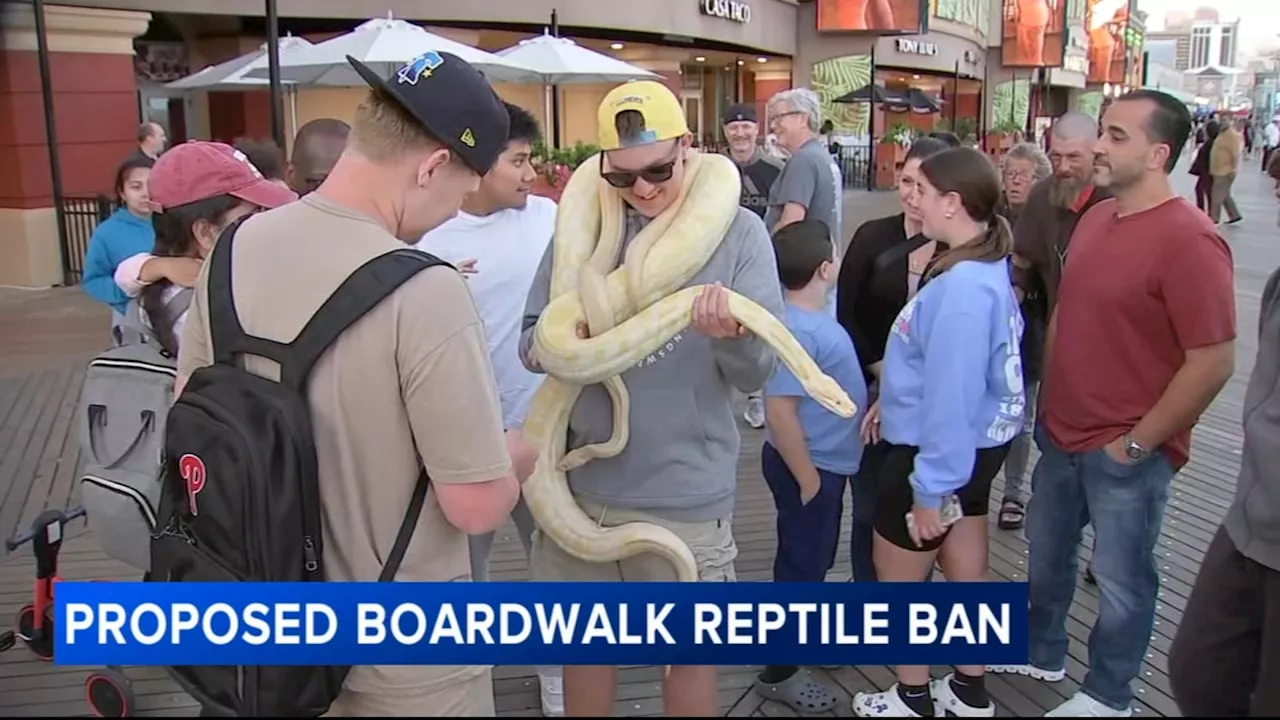 Atlantic City looking to ban snakes, other reptiles on boardwalk