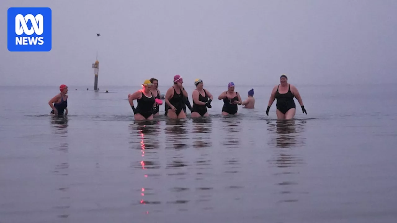 Williamstown Beach swimmers brave the cold water each winter day — come rain, hail, and pollution warnings