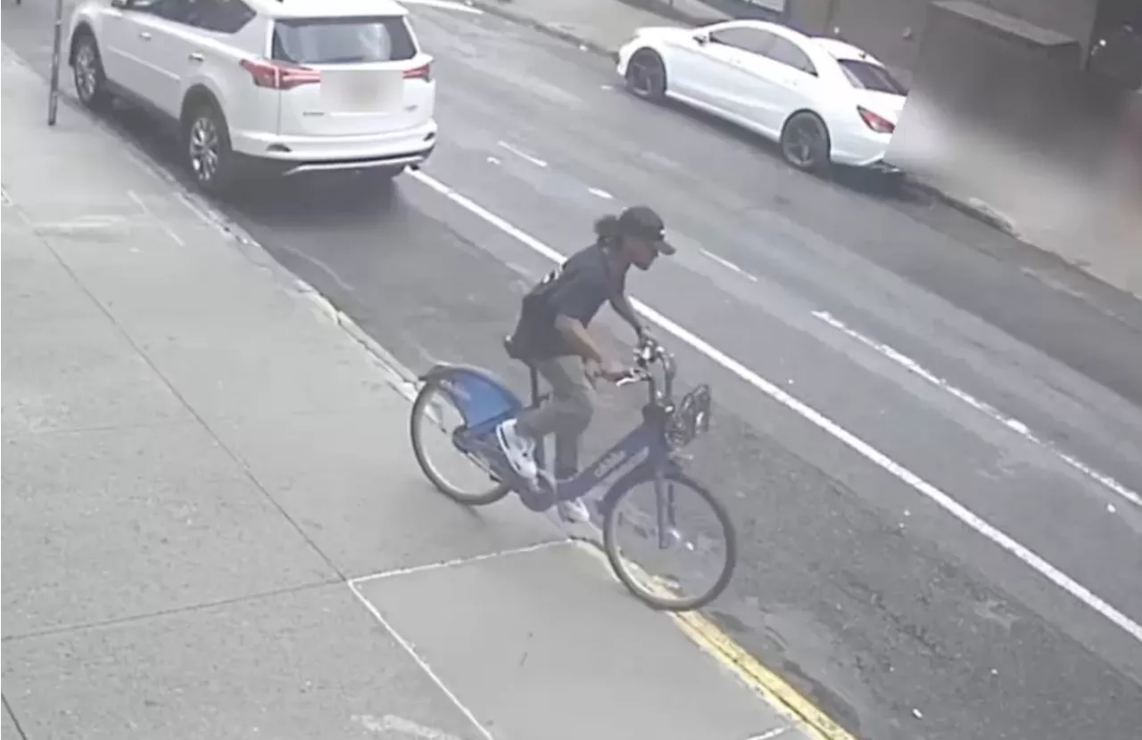 Brooklyn brute on Citi Bike knocked man out in violent robbery: cops