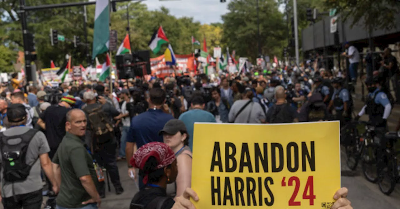 Pro-Palestinian ‘Abandon Biden’ Group Commits to Ensuring Harris Loses Election