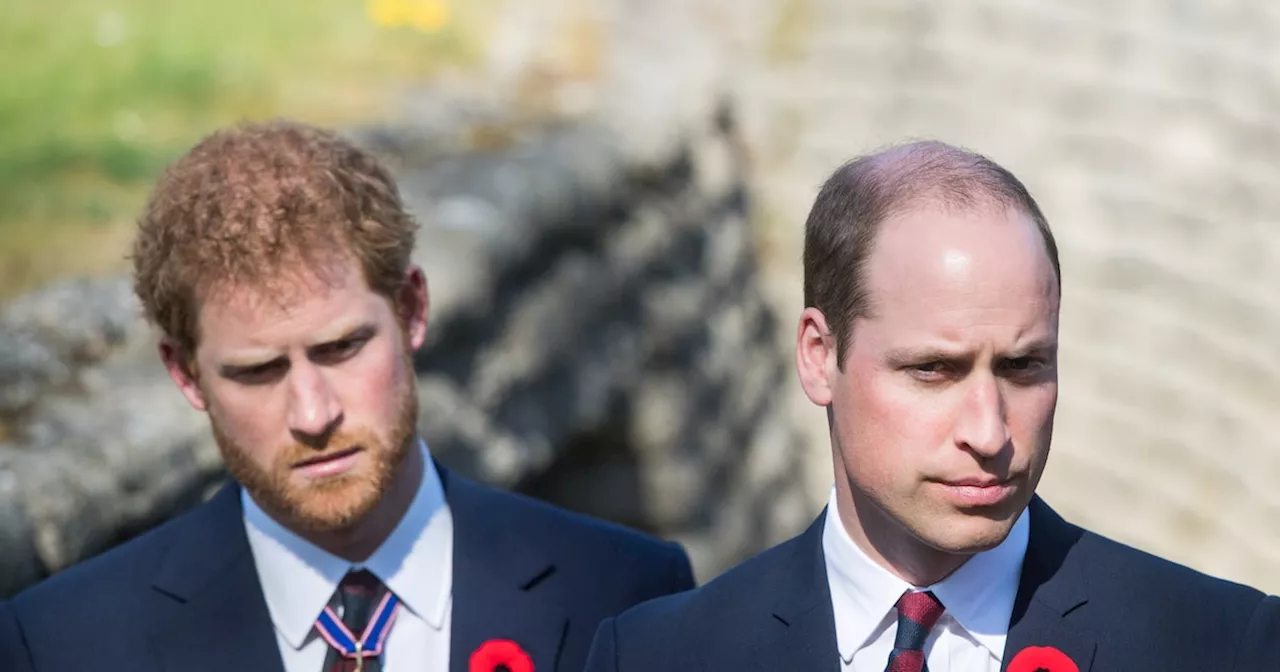 William und Harry werden sich nur noch einmal sehen – aus tragischem Grund