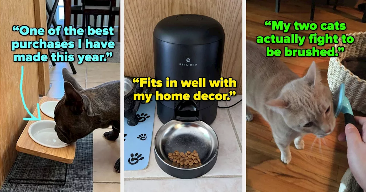 27 Amazon Pet Products That Get The Job Done