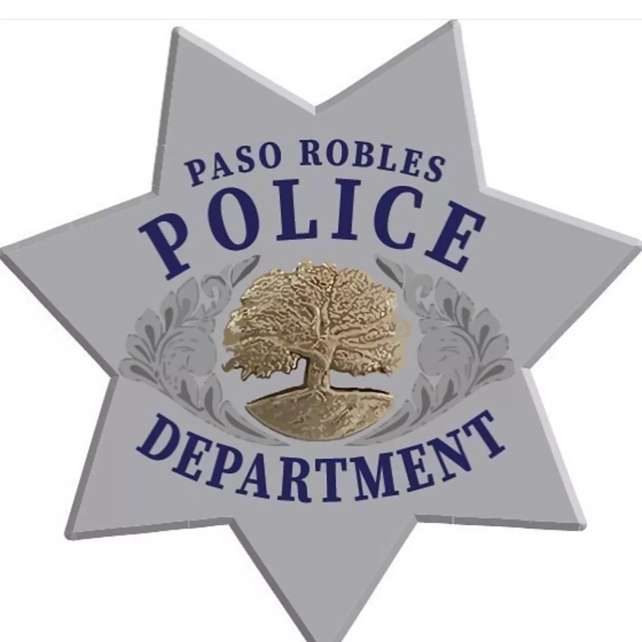 Paso Robles juvenile starts one brush fire, attempts to start another