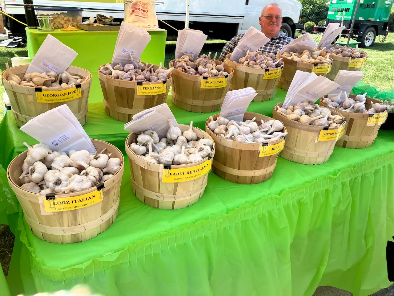 Cleveland Garlic Festival held in Shaker Square this weekend celebrates 15 years